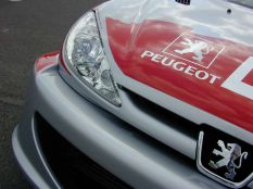 Peugeot 206 WRC replika