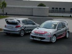 Peugeot 206 WRC replika