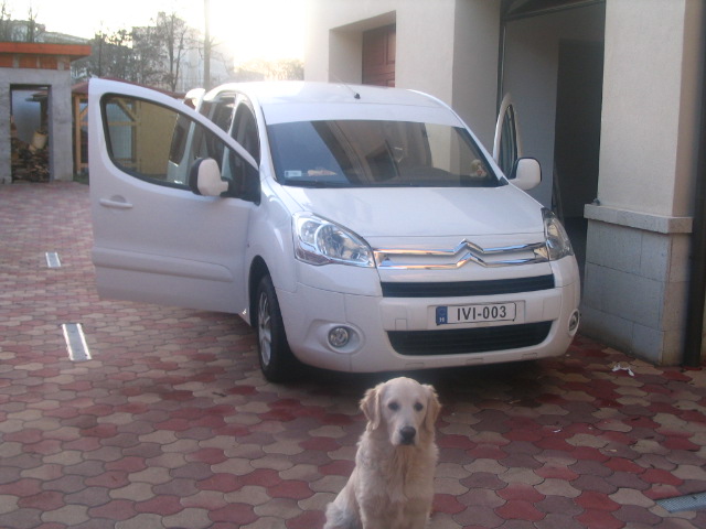 Citroen Berlingo::Tweety