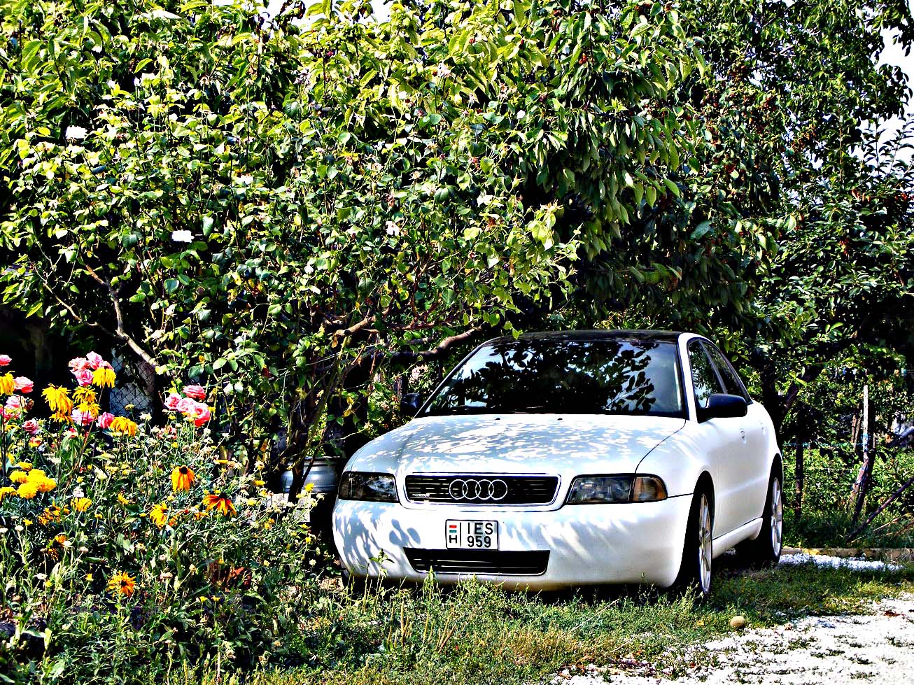 Audi A4 Eladva
