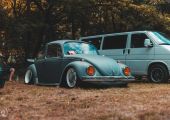 Volkswagen Bog�r - Mazsi_bug